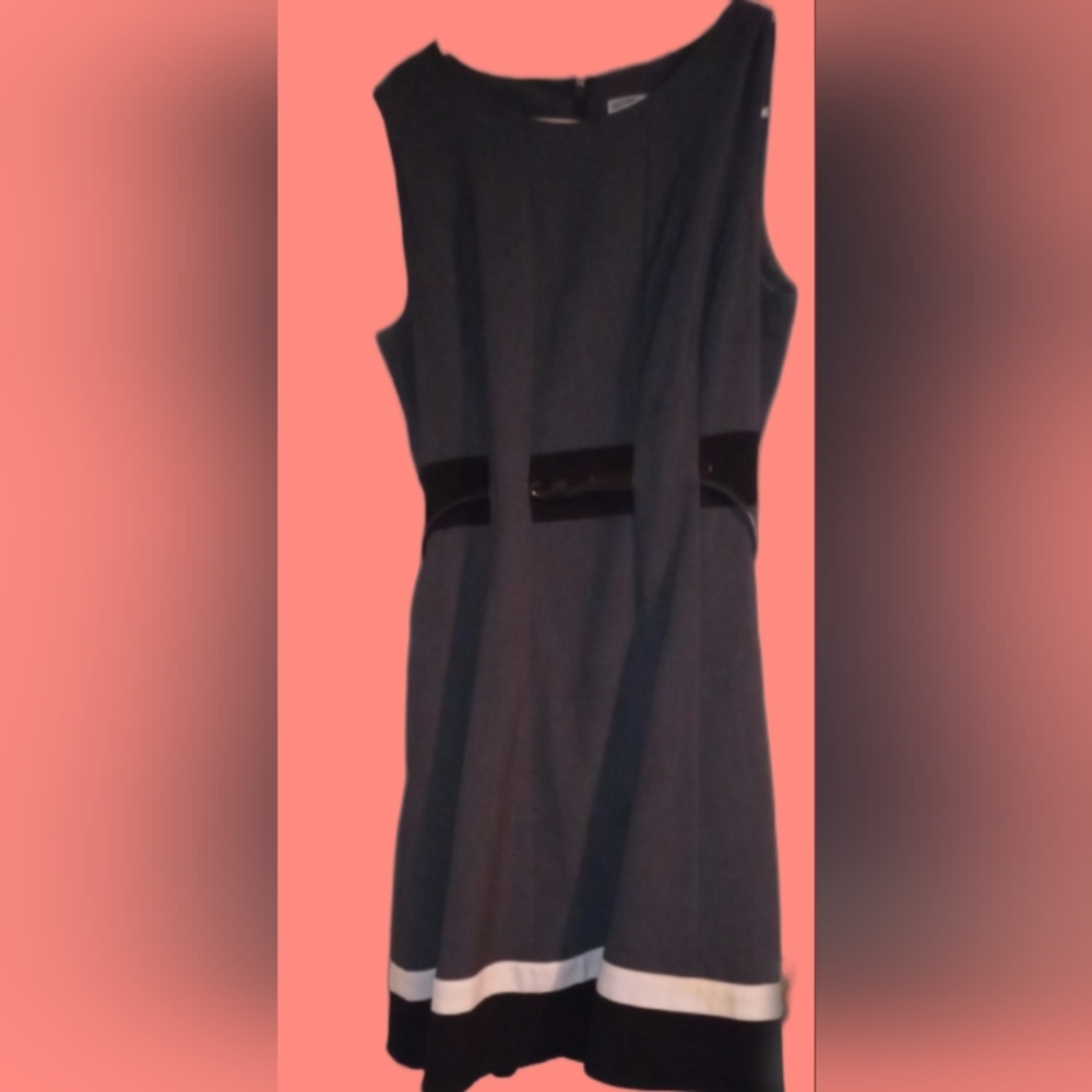 Classy Calvin Klein Size 10P dress